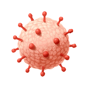 Illustration of the Epstein-Barr virus.